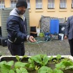 Principal collects rain water for veggie garden